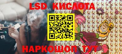 a pvp Гатчина