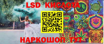 a pvp Гатчина